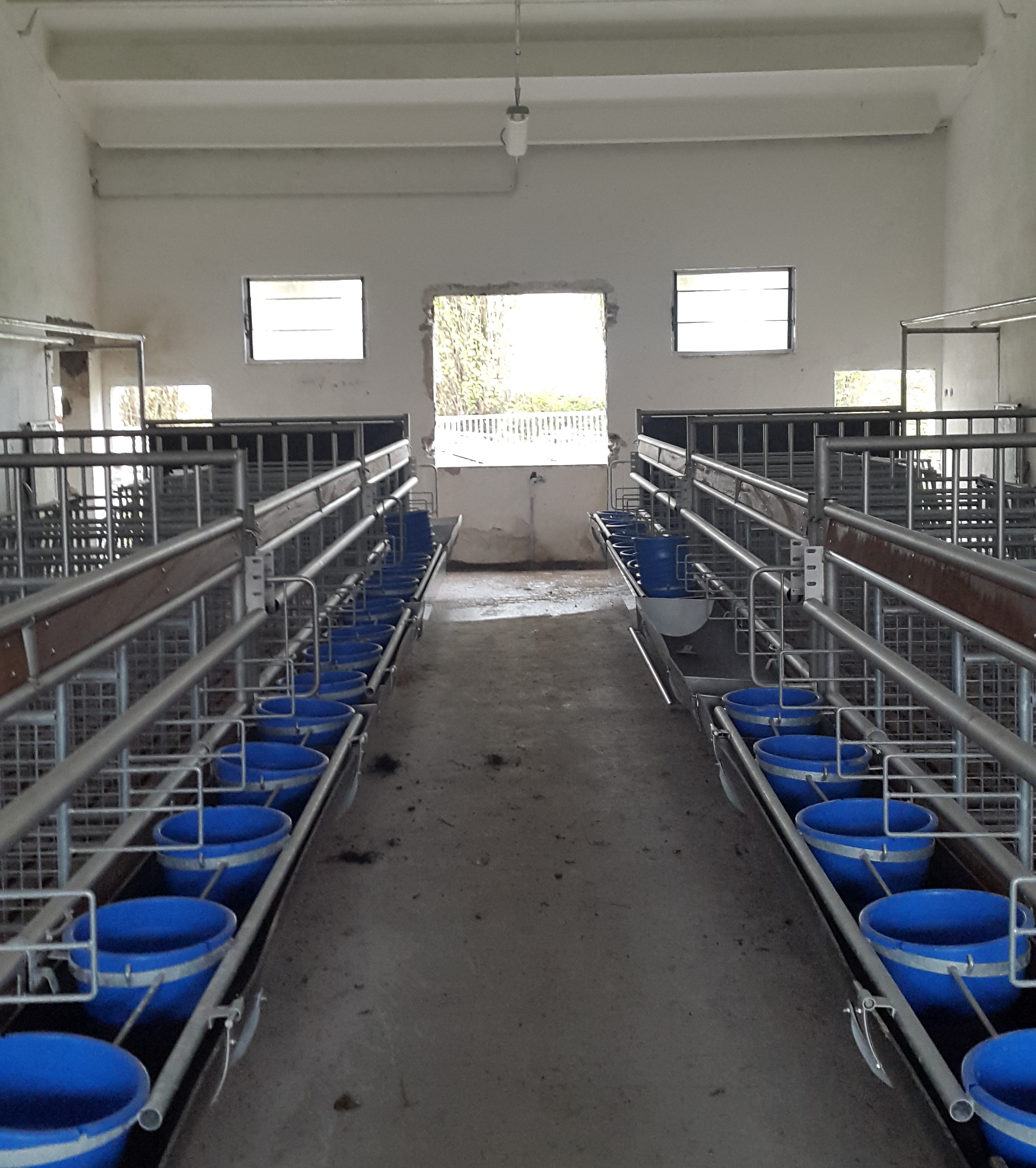 Costruzione di strutture agricole. 
